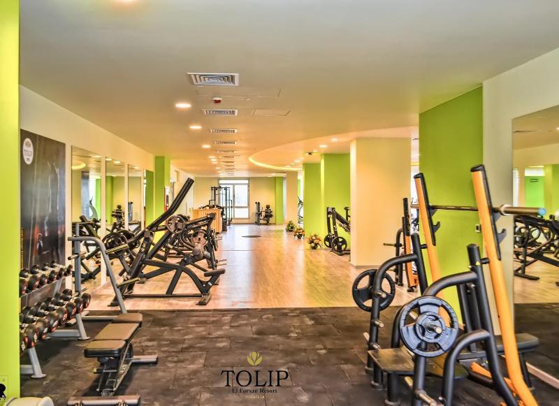 Tolip El Forsan Hotel Iszmáilija Kültér fotó The gym at Tulip Inn